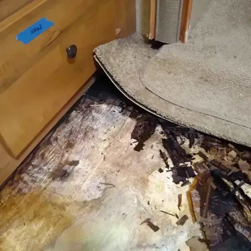 Best Wood Floor Water Damage Service in Tri-Lakes, IN